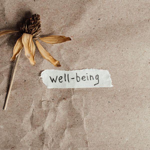 A serene landscape symbolizing balance and well-being.